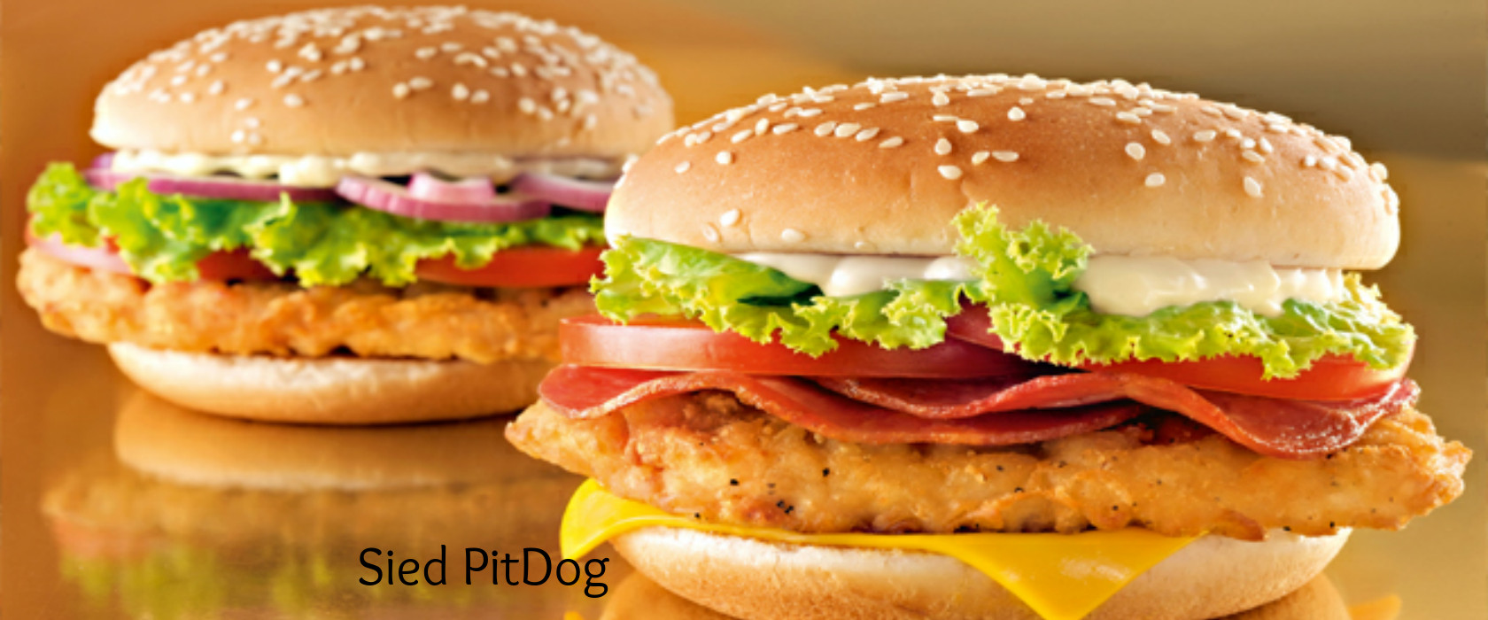 Deseja gerenciar melhor seu PitDog